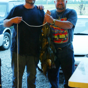 Nice catch