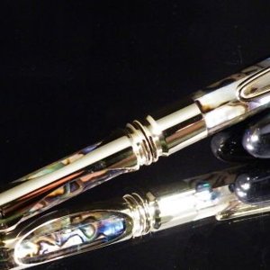 308 Cartridge pen