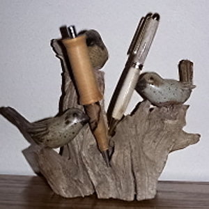 Unique pens