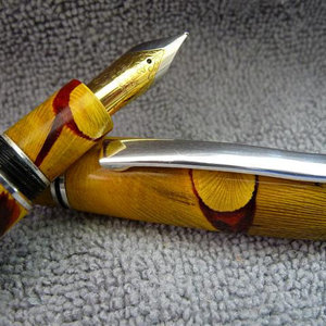 Worthless Wood Fountain Pen