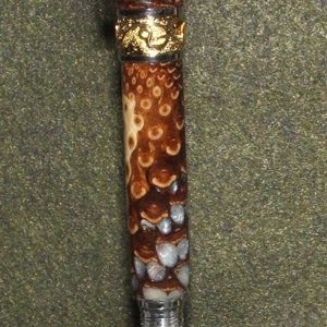 scepter pine cone