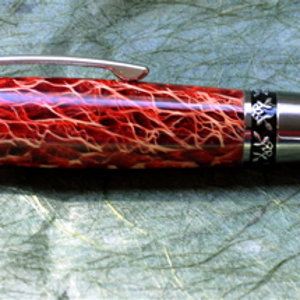 Magma Red Cactus Elegant Beauty