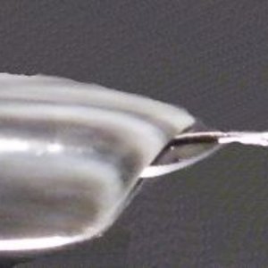 My first Bulb filler