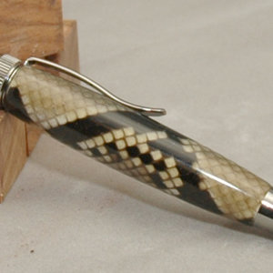 My daily use Pen