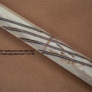 Eagle feathered Antler