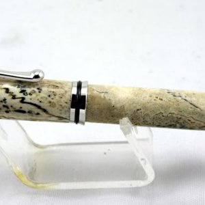 Gator Jaw Bone  Jr. Gent