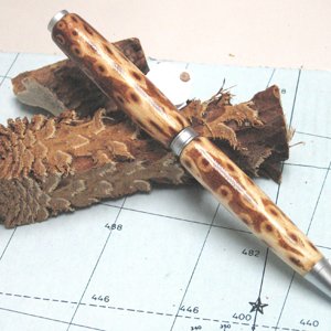 Pine Cone Pen