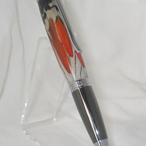 Amherst Pheasant