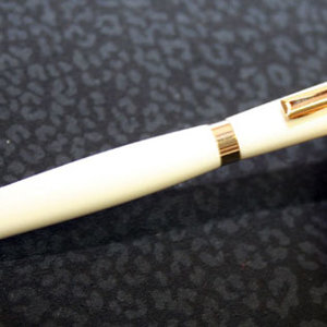 Possible wedding pen