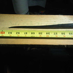 pic3