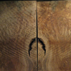 olivewood burl slabs