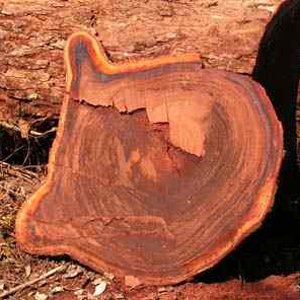 Sawing