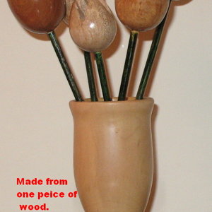 Wood Flowers
