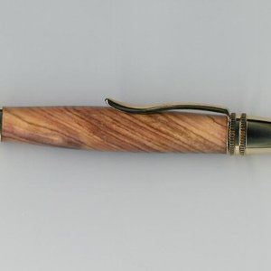 Polaris pen
