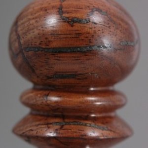 400 plus Year old Angelique wood Bottle Stopper