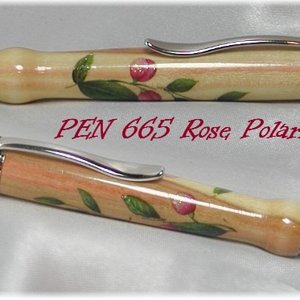 Polaris w/ Rub On Roses Decal