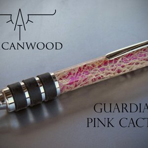 pinkcactus