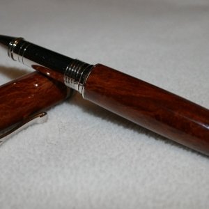 Lace Sheoak