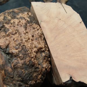 burl