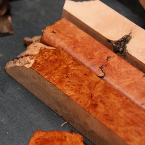 burl