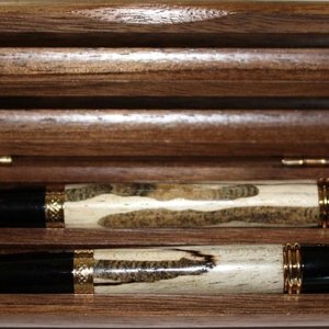 spalted Hickory