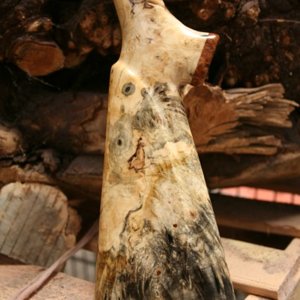 Gun Stock