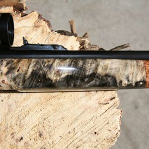Gun Stock
