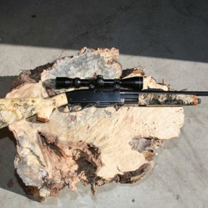 Gun stock