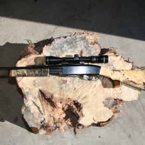 Gun stock