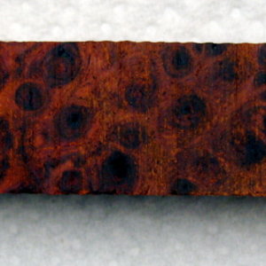 Amboyna burl