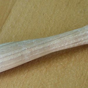honey-dipper