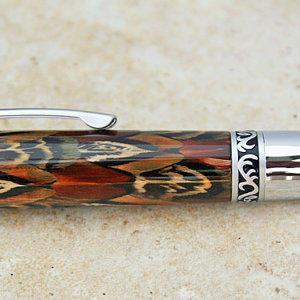 Pheasant Feathers on Elegant Beauty