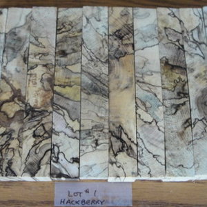 Hackberry 1