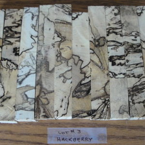 Hackberry 3