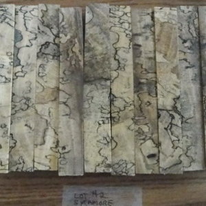 Sycamore 2