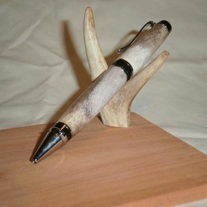Deer Antler