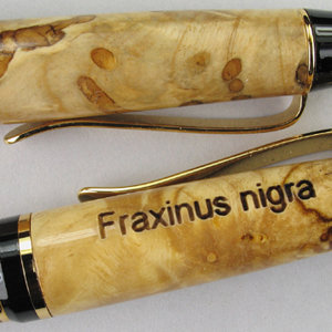 Cigar Click - Wormy Black Ash Burl