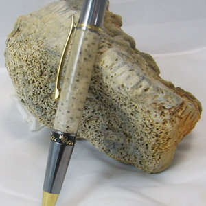 Coral Pen