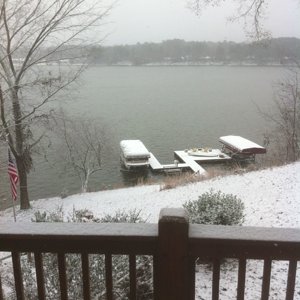 Backyard1