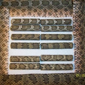 Snakeskin Blanks