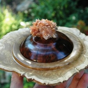 Creedite Final Natural Edge Bowl