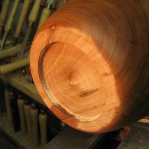 elm 2