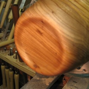 elm 3