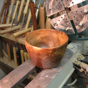 elm 4