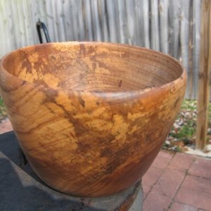 elm 5