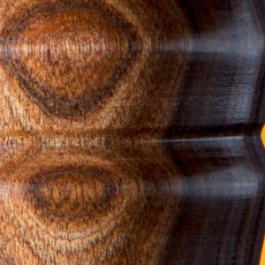 Brush-Detail_IMG_9804.jpg
