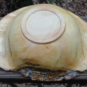 Box Elder Burl Cap