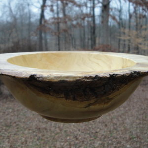 Box Elder Burl Cap 2