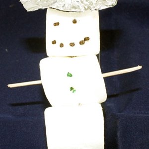 Snowman Pen