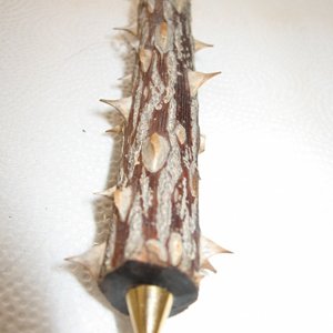 Thorny 2